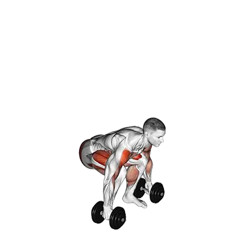 Best Lower Body Dumbbell Workouts Dumbbell Power Clean