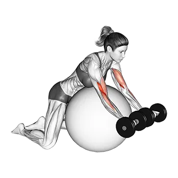 Dumbbell Preacher Curl Over Exercise Ball