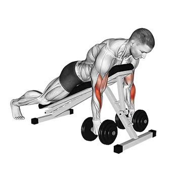 Best One Dumbbell Workouts Dumbbell Prone Alternate Hammer Curl