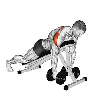 Dumbbell Prone Rear Delt Swing