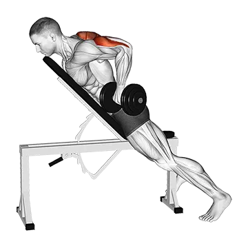 Dumbbell Prone Triceps Kickback