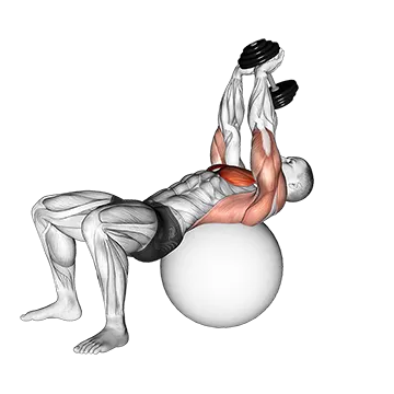 Dumbbell Pullover on Exercise Ball