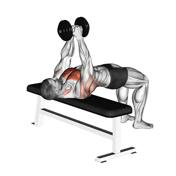 Best Dumbbell Back Workouts Dumbbell Pullover
