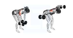 Dumbbell Rear Delt Fly - Guide, Benefits, and Form