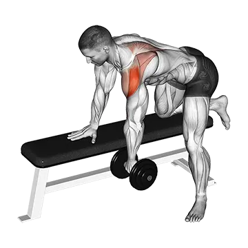 How To Build Bigger Shoulders Dumbbell Rear Delt Row