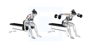 Dumbbell Rear Fly - Guide, Benefits, and Form