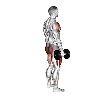 Dumbbell Rear Lunge Front Raise