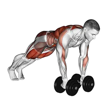 Dumbbell Renegade Row to Squat
