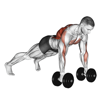 Best Dumbbell Chest Workouts Without Bench Dumbbell Renegade Row