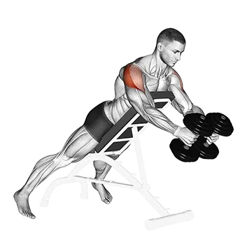 Best Dumbbell Shoulder Workouts Dumbbell Reverse Fly