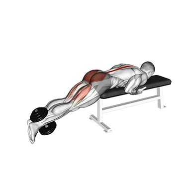 Dumbbell Reverse Hyperextension on Bench