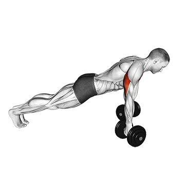 Dumbbell Reverse Push Up