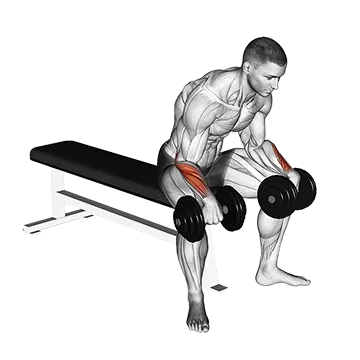 Best Workouts For Grip Strength Dumbbell Reverse Wrist Curl