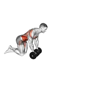 Best Ab Workouts With Dumbbells Dumbbell Rollout