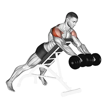 Dumbbell Rotation Reverse Fly