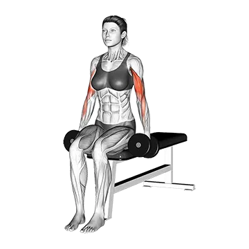 Dumbbell Seated Alternate Biceps Curl