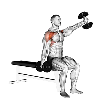 Dumbbell Seated Alternate Front Raise