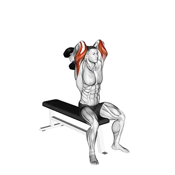 Dumbbell Seated Alternate Overhead Triceps Extension