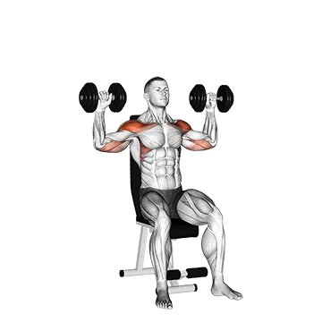 Dumbbell Seated Alternate Shoulder Press