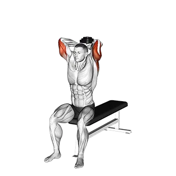 Dumbbell Seated Bench Extension