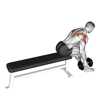 Best Rear Delt Exercises Dumbbell Seated Bent Over Alternate Rear Delt Fly