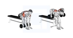 Customize Your Back Training