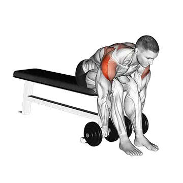Best Rear Delt Exercises Dumbbell Seated Bent Over Rear Delt Row