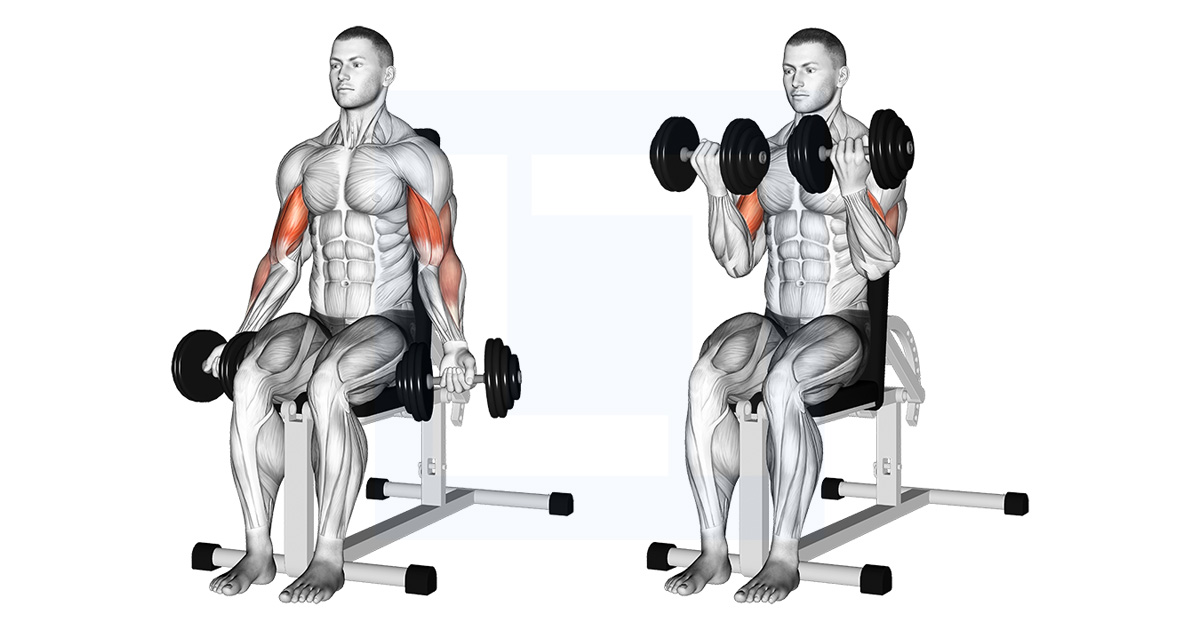 Dumbbell Alternate Biceps Curl Guide Benefits And Form Dumbbell Alternate Biceps Curl Guide Benefits And Form