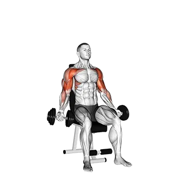 Dumbbell Seated Biceps Curl to Shoulder Press