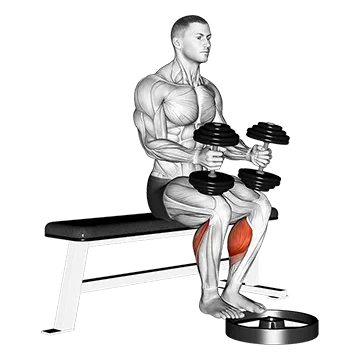 Best Dumbbell Calf Workouts Dumbbell Seated Calf Raise