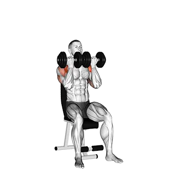 Dumbbell Seated Close Grip Press