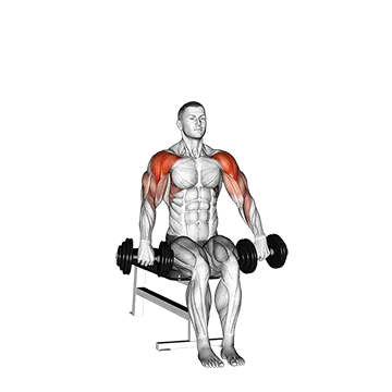 Dumbbell Seated Cuban Press