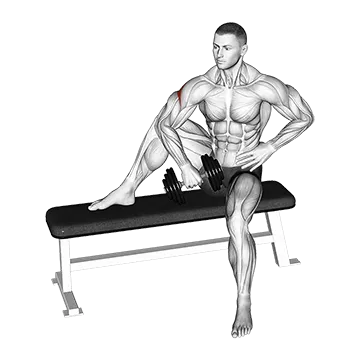 Dumbbell Seated External Shoulder Rotation