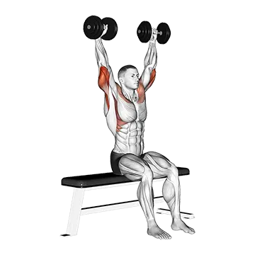 Dumbbell Seated Front and Back Tate Press
