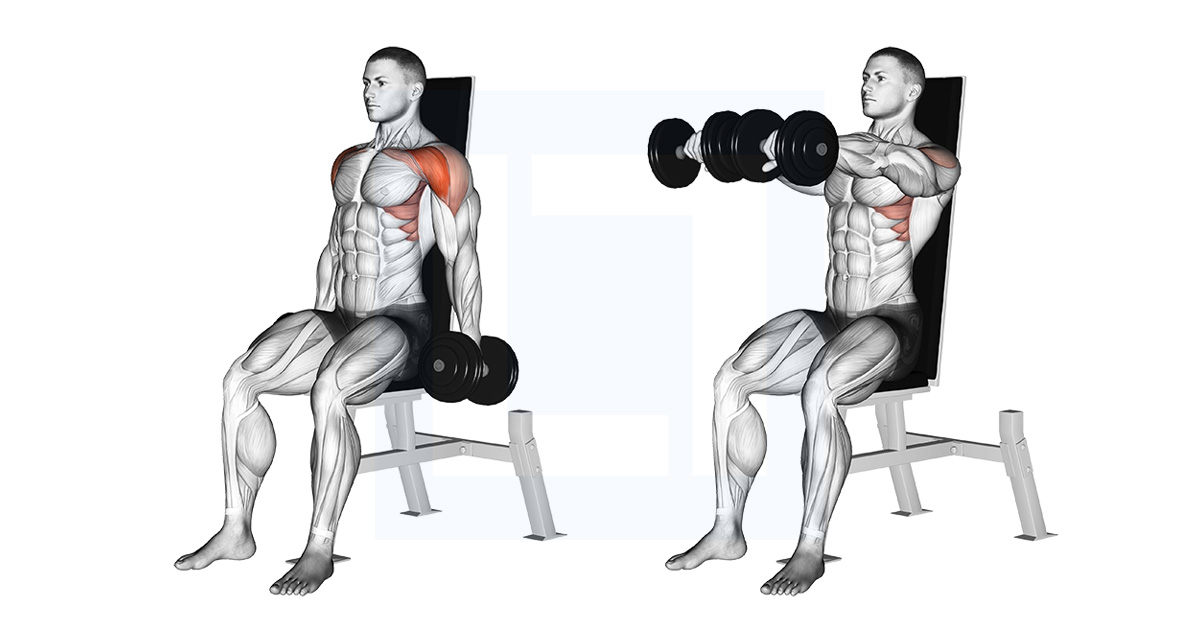 Dumbbell Exercises In Chair At Kathy Carter Blog Dumbbell Exercises In Chair At Kathy Carter Blog