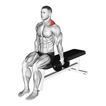 Dumbbell Seated Gittleson Shrug