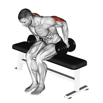 Best Upper Body Dumbbell Workouts Dumbbell Seated Kickback