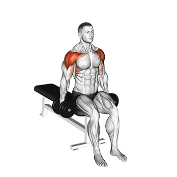 Dumbbell Seated Lateral to Front Raise