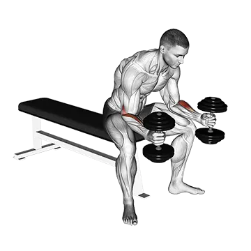 Dumbbell Seated Neutral Wrist Curl