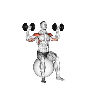 Dumbbell Seated on Exercise Ball Shoulder Press