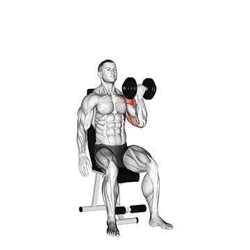 Dumbbell Seated One Arm Arnold Press