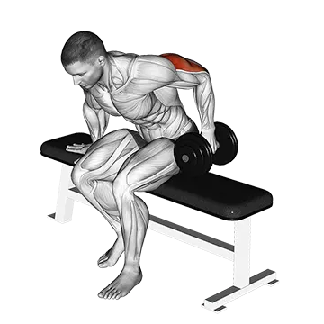 Best One Dumbbell Workouts Dumbbell Seated One Arm Kickback