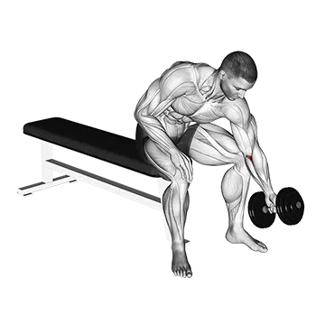 Dumbbell Seated One Arm Rotate