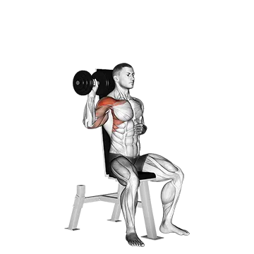 Dumbbell Seated One Arm Shoulder Press