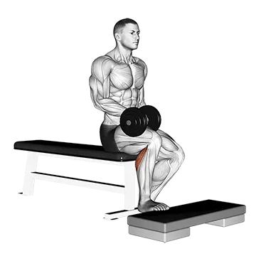 Best Calf Workouts Dumbbell Seated One Leg Calf Raise