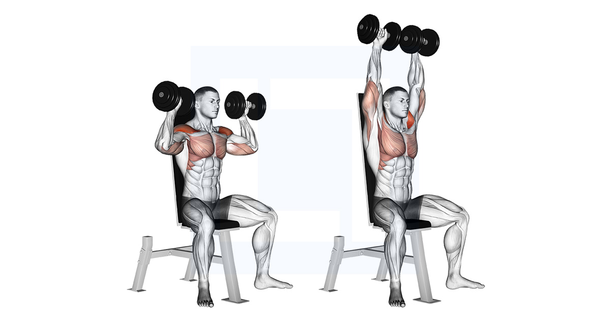Dumbbell Standing Overhead Press Guide Benefits And Form Dumbbell Standing Overhead Press Guide Benefits And Form