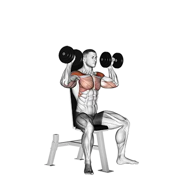 Best Dumbbell Shoulder Workouts Dumbbell Seated Shoulder Press