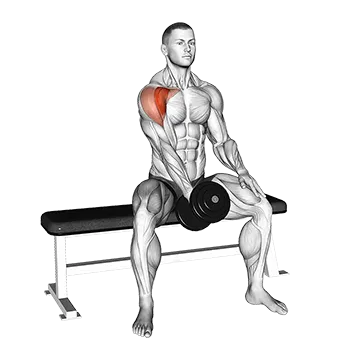 Dumbbell Seated Single Arm Front Raise