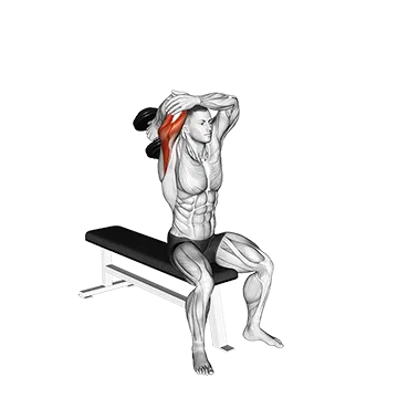 Dumbbell Seated Single Arm Overhead Triceps Extension