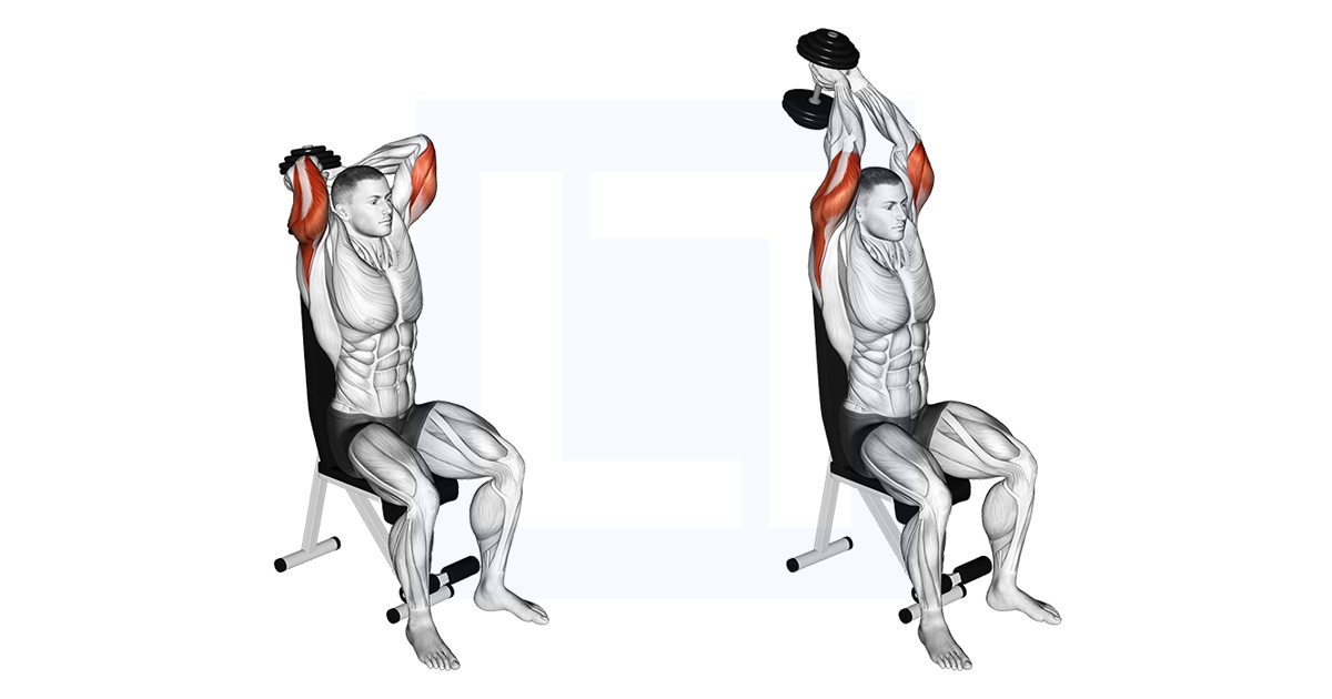 DB Seated Tricep Extension Seated Overhead DB Extension